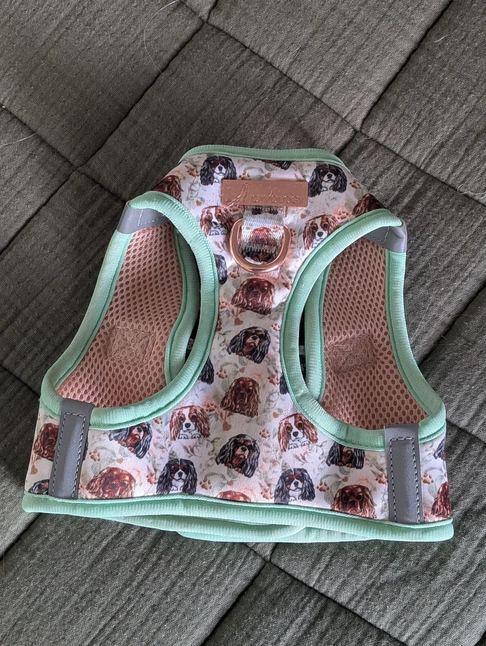 NWOT Cavology Step In Harness